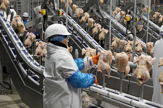 “How Am I Going To Survive?”: A Costco Meatpacking Worker Speaks Of Her Fears As She And Others Labor To Keep Chicken In Stores