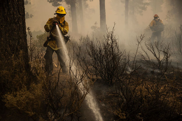 “It Is Unequivocal”: Humans Are Driving Worsening Climate Disasters, Hundreds Of Scientists Said In A New Report