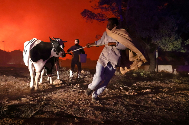 These Photos Show The Immense Scale Of The Wildfires Ravaging Greece