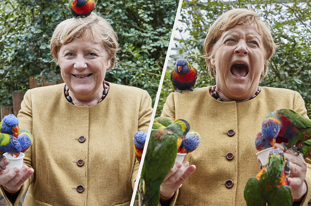 Danke Schön For These Photos Of Angela Merkel Getting Swamped By Birds